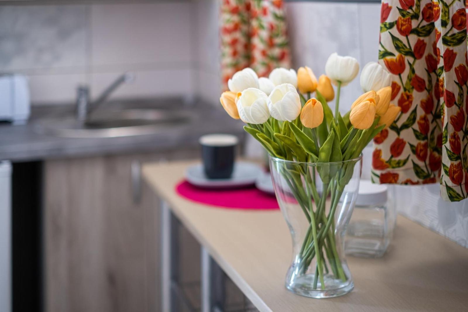 Szuerke Vendeghaz Balatonkenesen Apartment Екстериор снимка